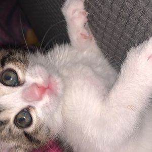 Meet your Posher, Niyah